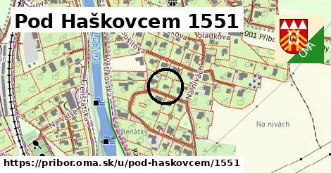 Pod Haškovcem 1551, Příbor