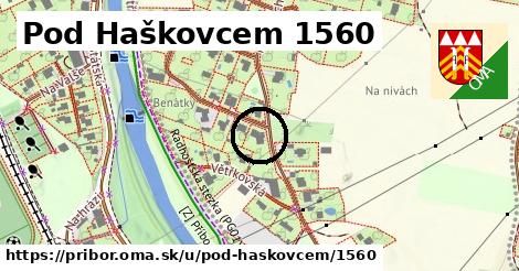 Pod Haškovcem 1560, Příbor