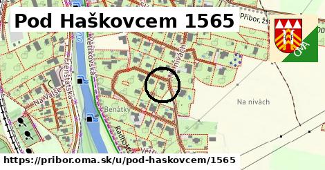 Pod Haškovcem 1565, Příbor