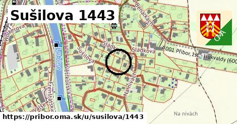 Sušilova 1443, Příbor