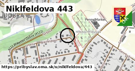 Niklfeldova 443, Přibyslav