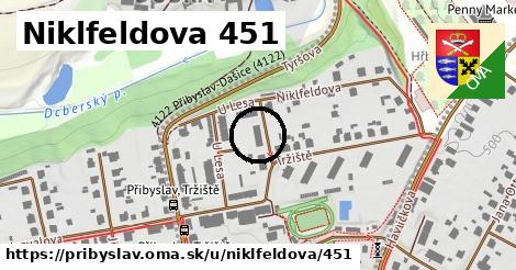 Niklfeldova 451, Přibyslav