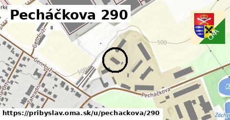 Pecháčkova 290, Přibyslav