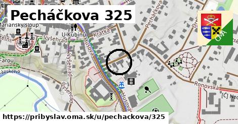 Pecháčkova 325, Přibyslav