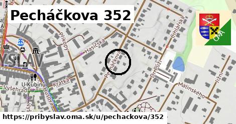 Pecháčkova 352, Přibyslav