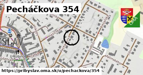 Pecháčkova 354, Přibyslav