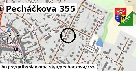 Pecháčkova 355, Přibyslav