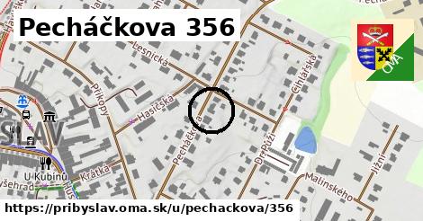 Pecháčkova 356, Přibyslav