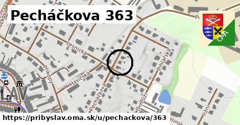 Pecháčkova 363, Přibyslav