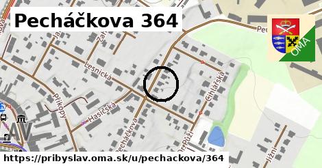 Pecháčkova 364, Přibyslav