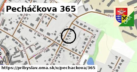 Pecháčkova 365, Přibyslav