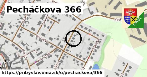 Pecháčkova 366, Přibyslav