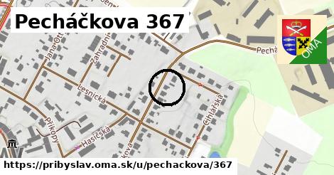 Pecháčkova 367, Přibyslav