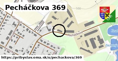 Pecháčkova 369, Přibyslav