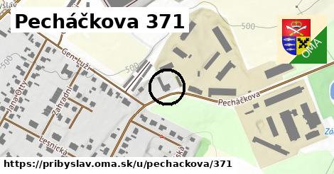 Pecháčkova 371, Přibyslav