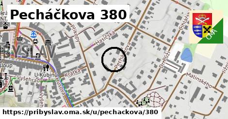 Pecháčkova 380, Přibyslav