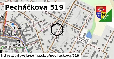 Pecháčkova 519, Přibyslav