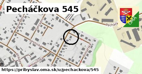 Pecháčkova 545, Přibyslav