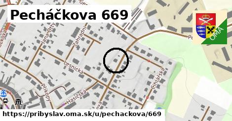 Pecháčkova 669, Přibyslav