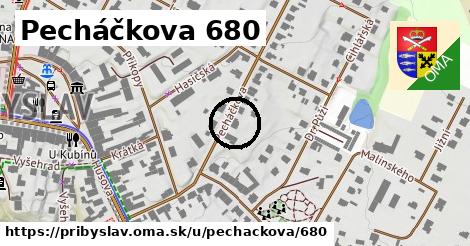 Pecháčkova 680, Přibyslav