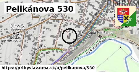 Pelikánova 530, Přibyslav