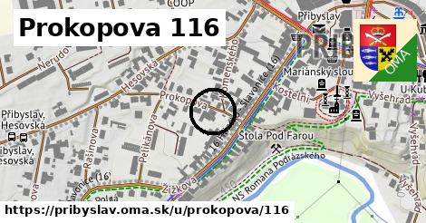 Prokopova 116, Přibyslav