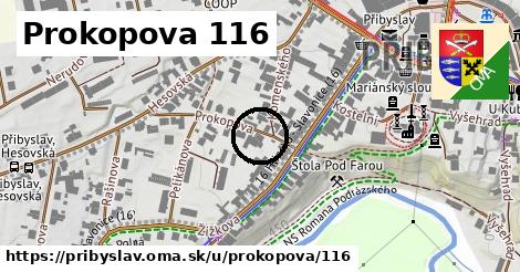 Prokopova 116, Přibyslav