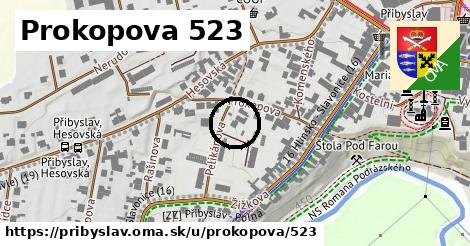 Prokopova 523, Přibyslav