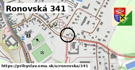 Ronovská 341, Přibyslav