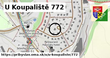U Koupaliště 772, Přibyslav
