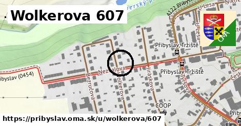 Wolkerova 607, Přibyslav