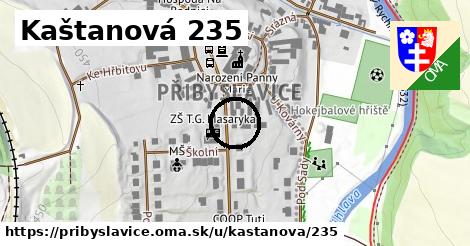 Kaštanová 235, Přibyslavice