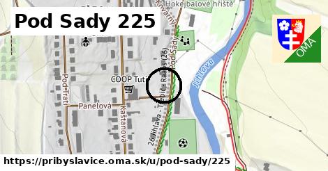 Pod Sady 225, Přibyslavice