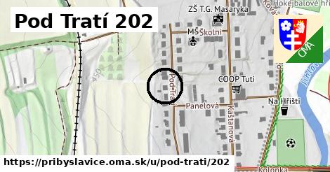 Pod Tratí 202, Přibyslavice