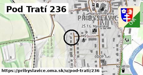 Pod Tratí 236, Přibyslavice