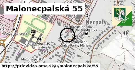 Malonecpalská 55, Prievidza