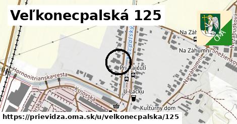 Veľkonecpalská 125, Prievidza