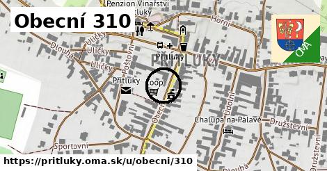Obecní 310, Přítluky