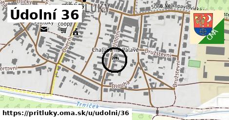 Údolní 36, Přítluky