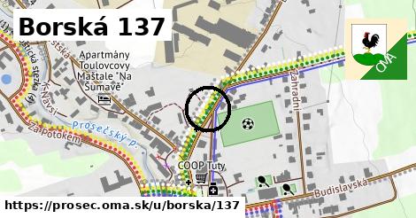 Borská 137, Proseč