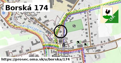 Borská 174, Proseč