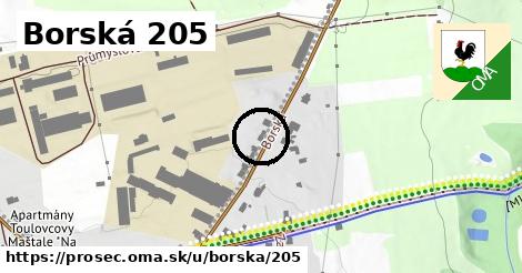 Borská 205, Proseč