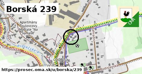 Borská 239, Proseč