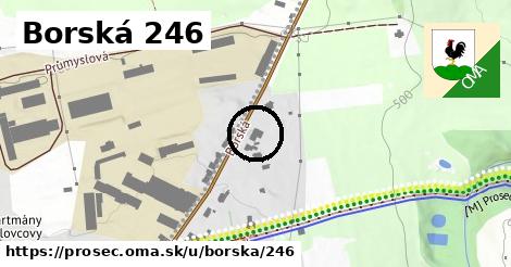 Borská 246, Proseč