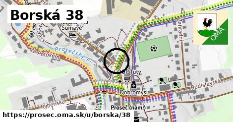 Borská 38, Proseč