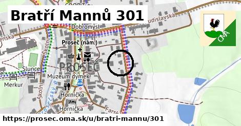 Bratří Mannů 301, Proseč