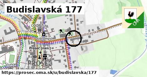 Budislavská 177, Proseč