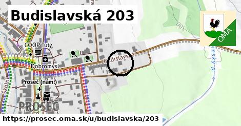 Budislavská 203, Proseč