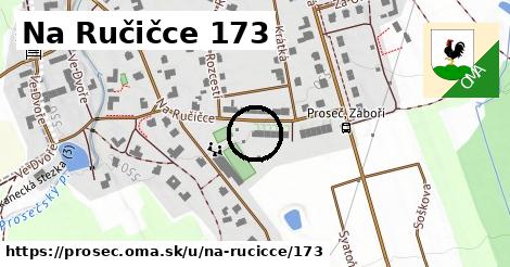 Na Ručičce 173, Proseč