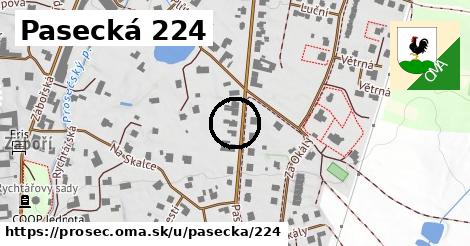 Pasecká 224, Proseč